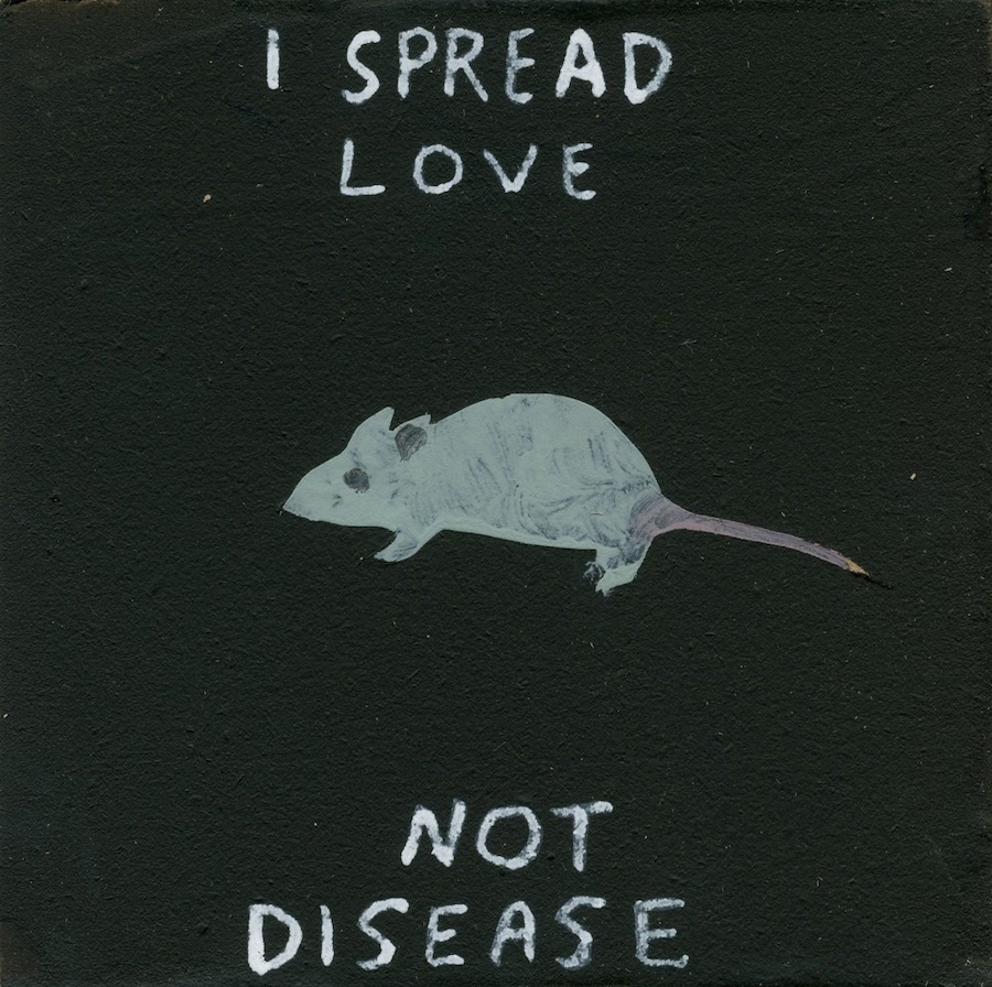 i spread love not disease mdnf 2018