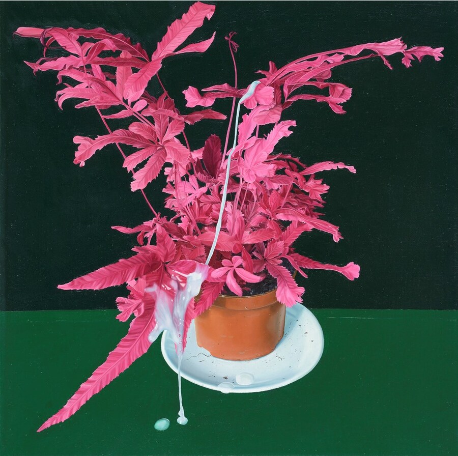 Tristan Pigott, Misfired Shot at Nature More