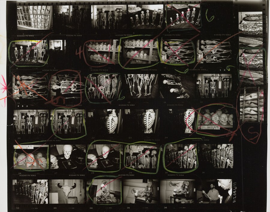 12-2014.43.2892_Stuart_Pivar_skulls_sm