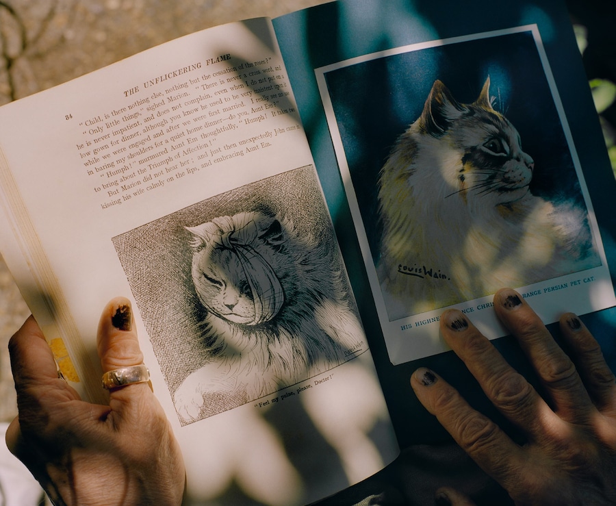 Louis Wain artist cats