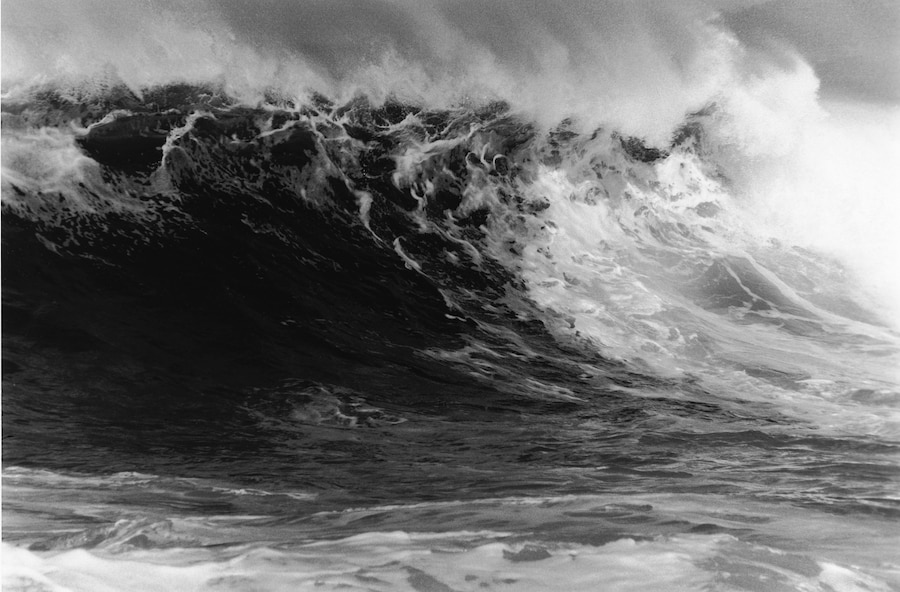 Anthony Friedkin Daniel Cooney surf photography exhibition