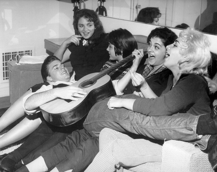 Ricky Nelson fans Harry Styles