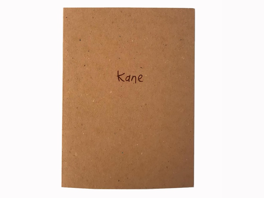 S&amp;M erotic photography vintage 1970s Kane book 2018