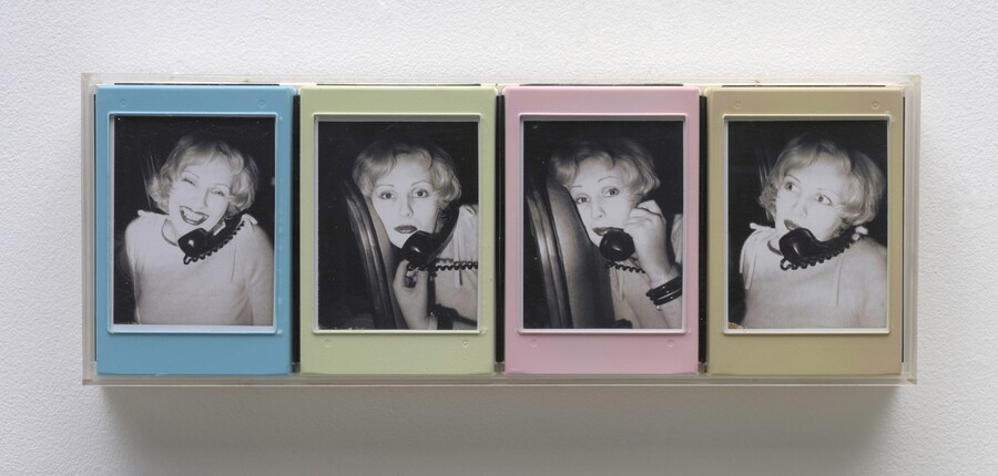 Mapplethorpe_95.4306_Candy Darling