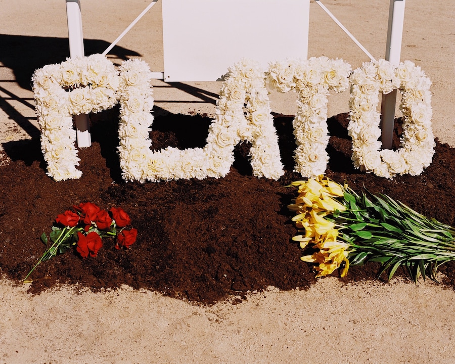 The Loved One Blondey McCoy Alasdair McLellan Los Angeles