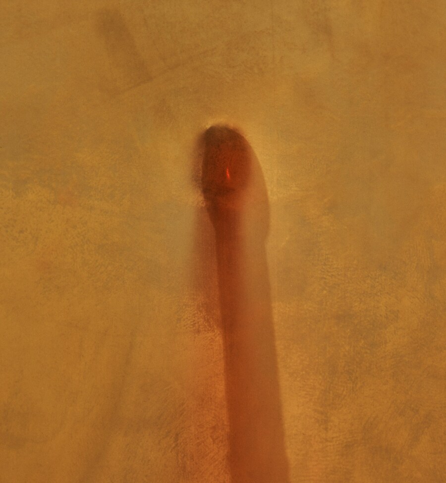 CASPER_SEJERSEN_COB_Yellow Drumstick2019_015