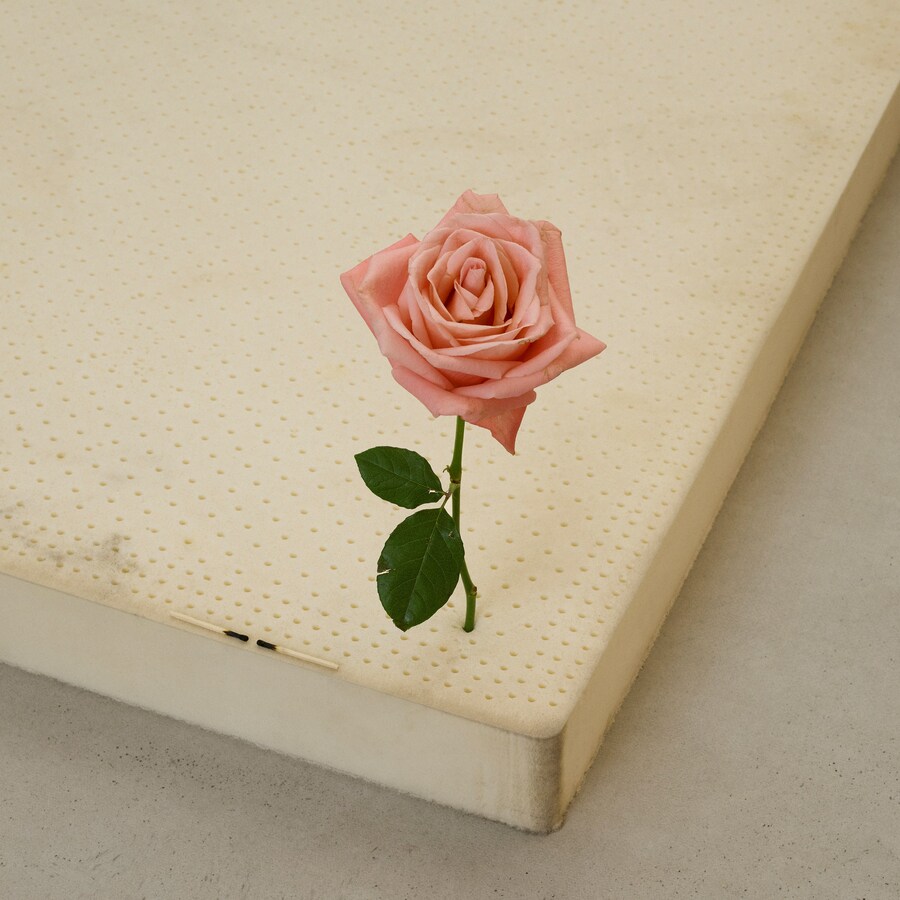 CASPER_SEJERSEN_COB_One Perfect Rose2019_007