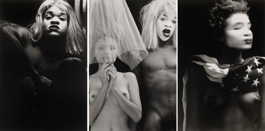 Robert Mapplethorpe Implicit Tensions Guggenheim 2019 Lyle