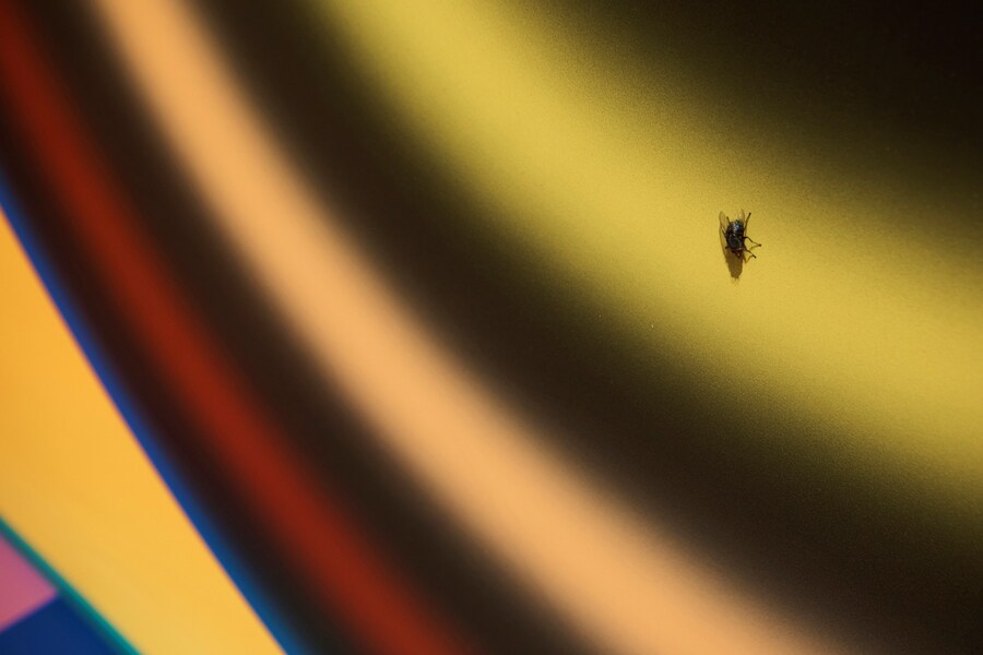 Hysterical Gary Card Exhibition 2019 Phillips Gallery