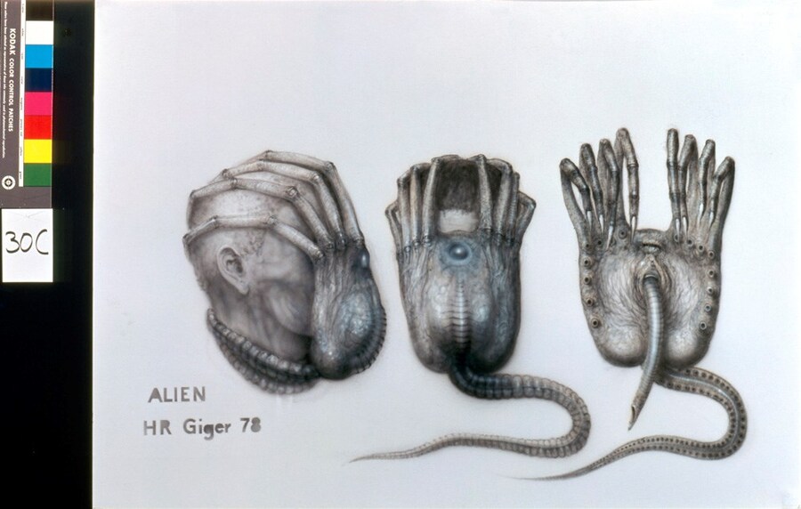 1978-B-379 Alien I, Facehugger, Version IV
