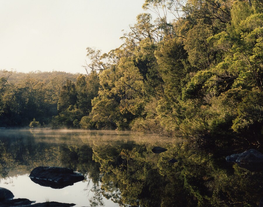 Northern Rivers Lola &amp; Pani Hempstead May Gallery London