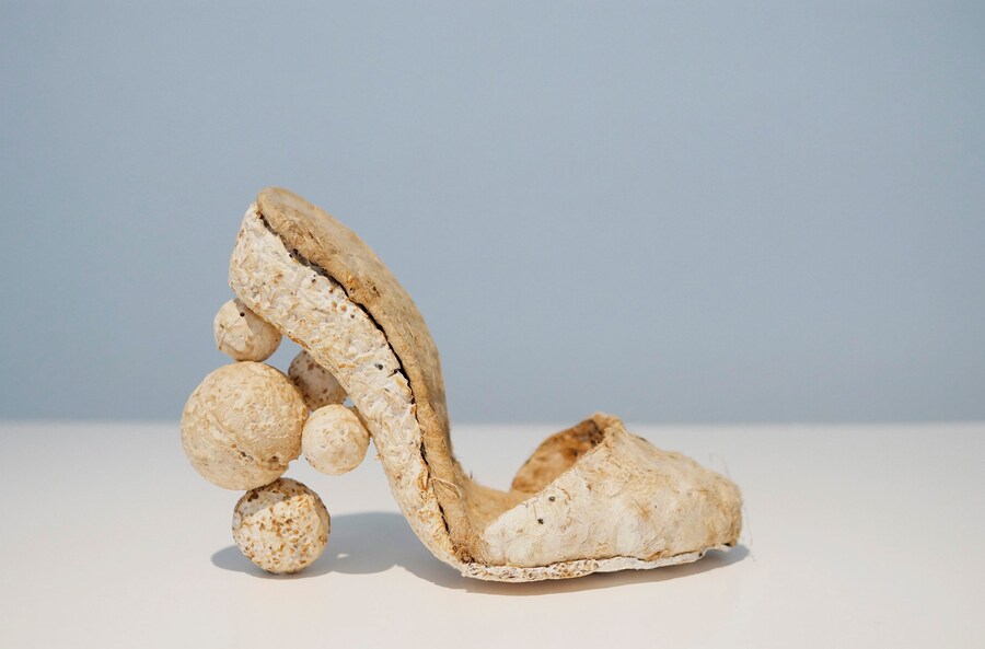 5. Kristel Peters, ‘Mycoschoen’, courtesy of the a