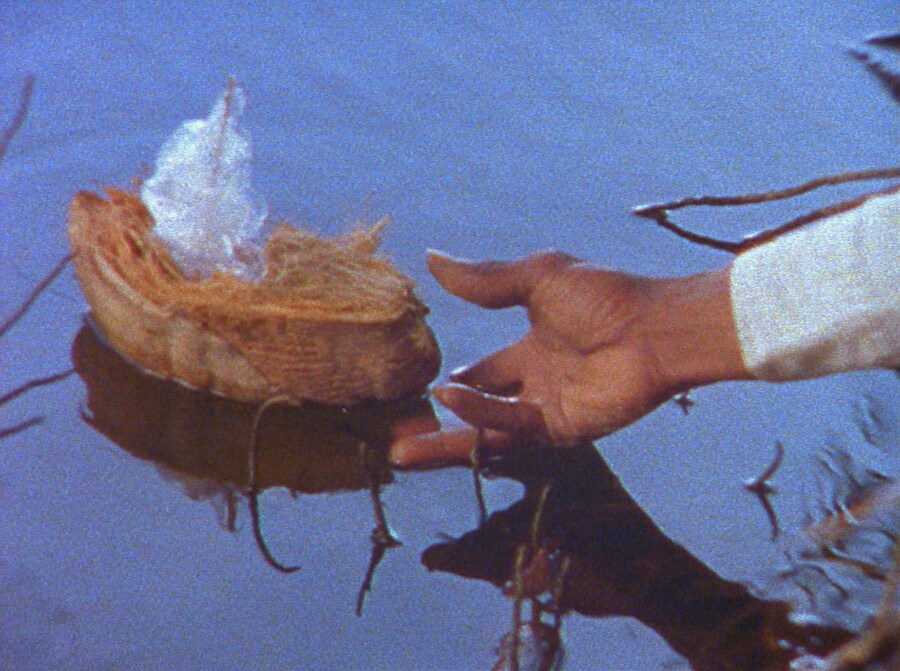 Steve McQueen Carib&#39;s Leap 2002