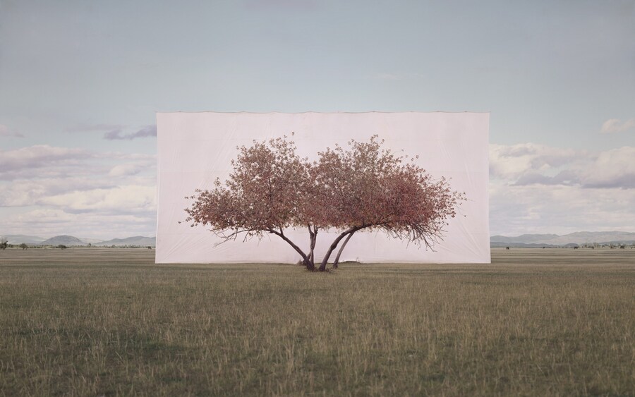 Myoung Ho Lee_Tree... #2_2012