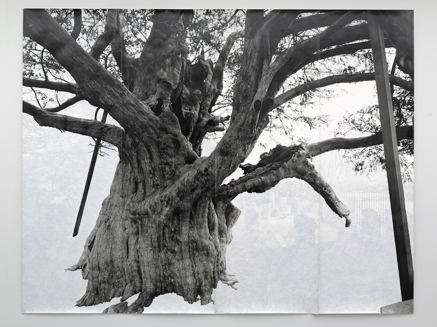 Tacita Dean_Crowhurst II_2007