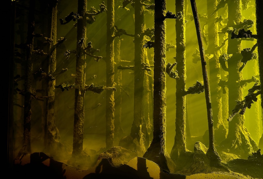 Mariele Neudecker_And Then the World Changed Colou