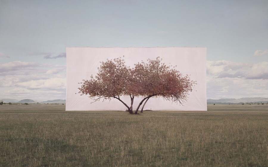 Myoung Ho Lee_Tree... #2_2012