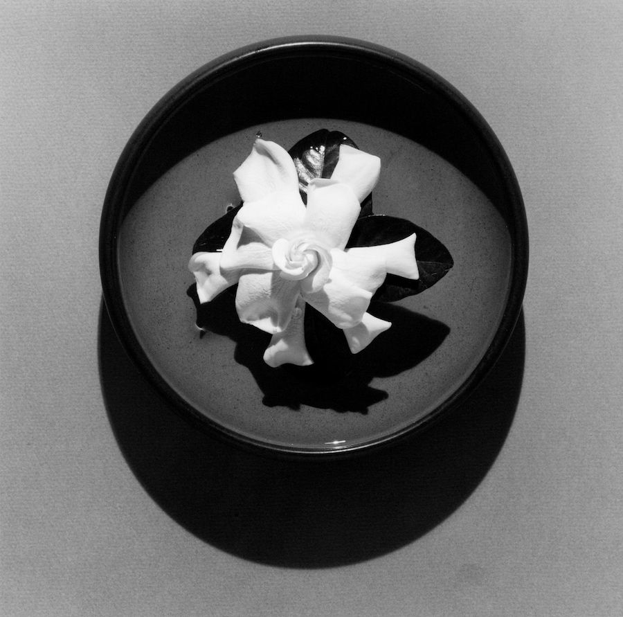 Robert Mapplethorpe: X, Y, and Z Portfolios | AnotherMan