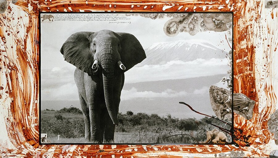 Peter Beard Kim Jones Interview Book 2020