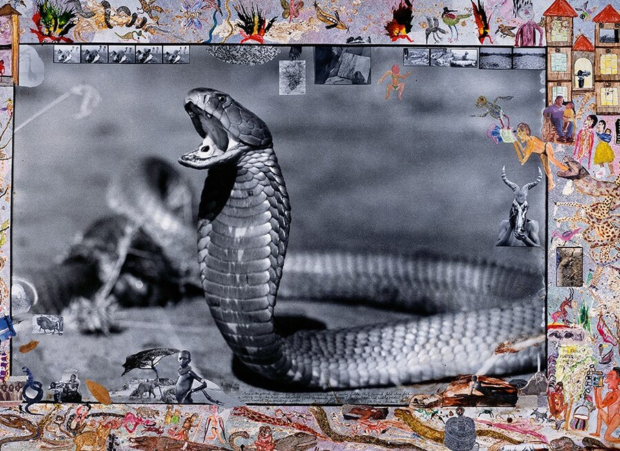 Peter Beard Kim Jones Interview Book 2020