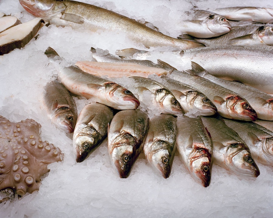 Buck_Ellison_Living_Trust_07_Strenuous Life